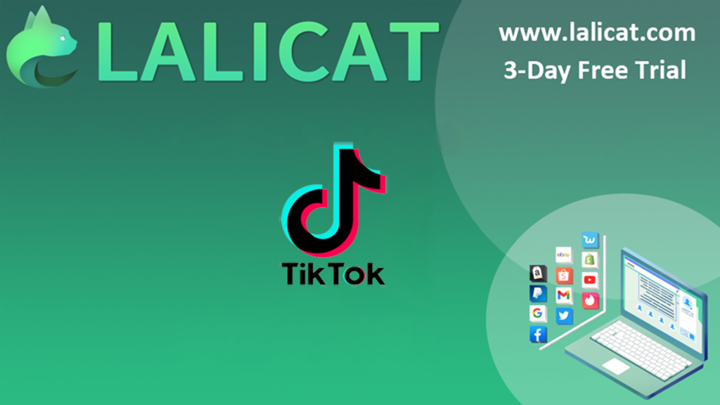 Manage Multiple TikTok Accounts