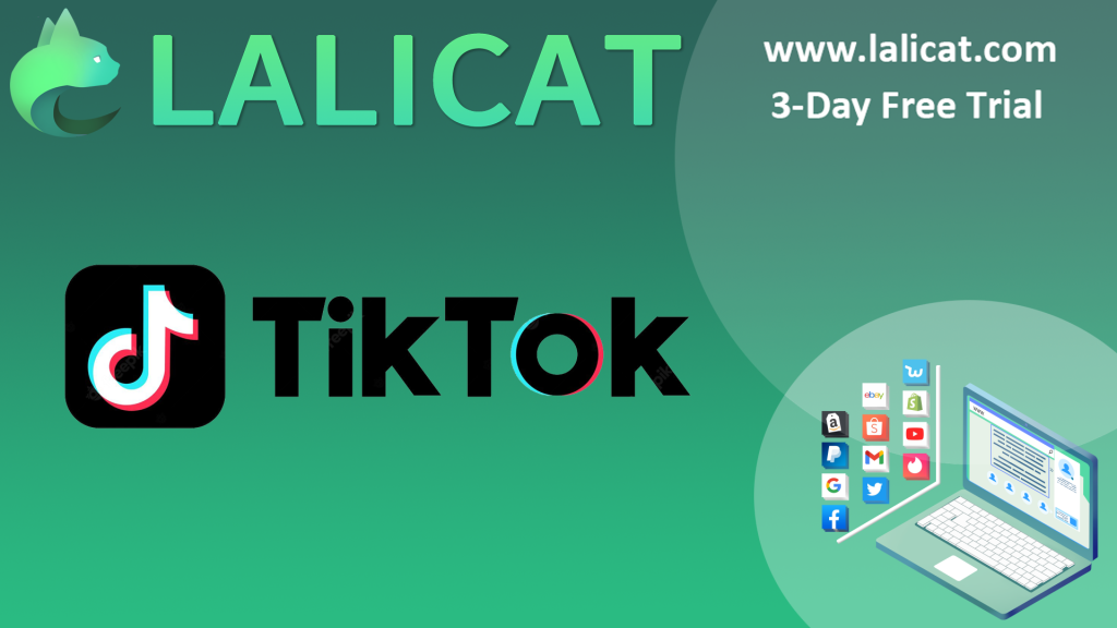 lalicat tiktok