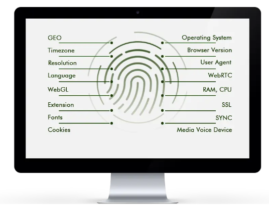 browser fingerprints
