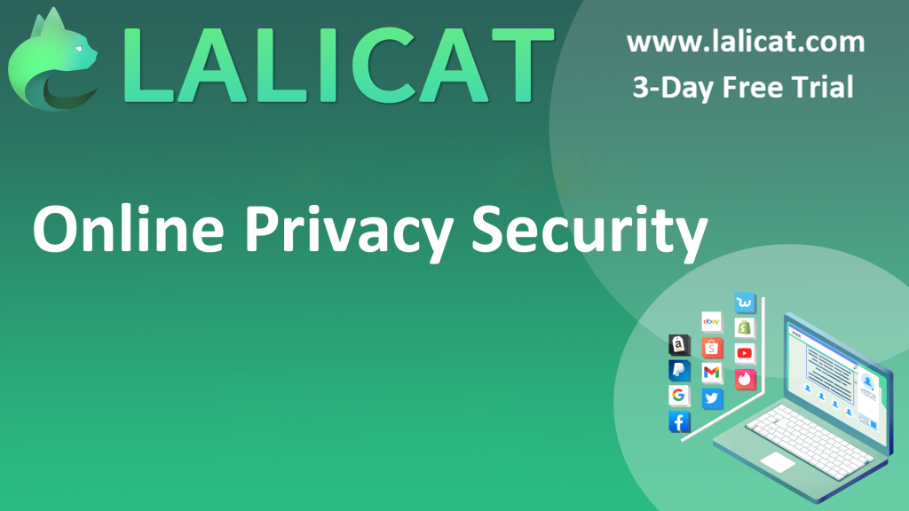 Online Privacy Security
