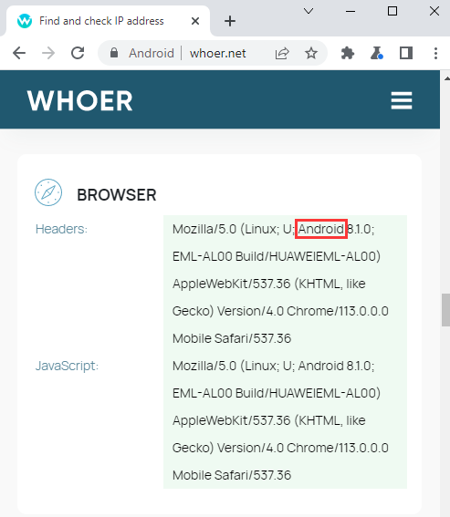 check IP with WHOER browser
