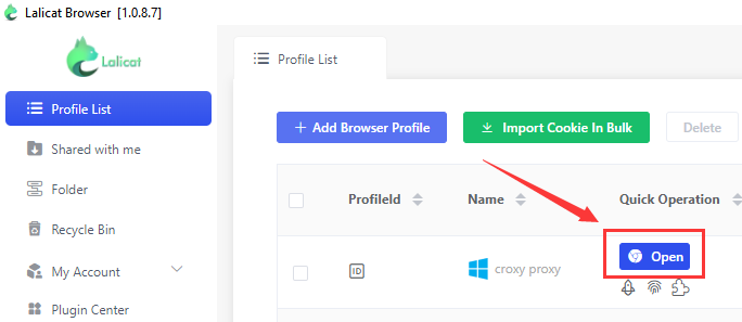 Open the browser profile