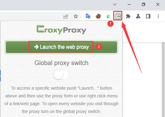 Set up Croxy Proxy