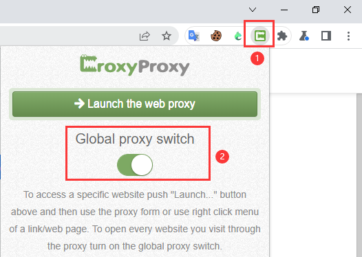 Croxy Proxy Global proxy settings